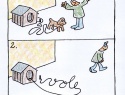vole.JPG