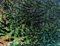 534-337+1-o.JPG