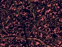 355-414+6o.JPG