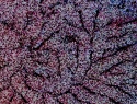 534-337+3o.JPG