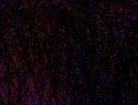 467-123+9o.jpg