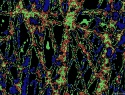 462-115+7-o.jpg