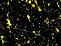 462-115+21o.jpg