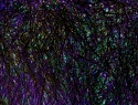 467-123+1o.jpg