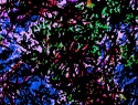 546-407+1o.JPG