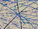 496-218+1o.JPG