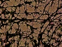 553-474+5o.JPG